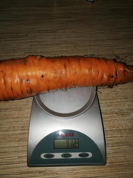post-13-0-72025600-1506181210_thumb.jpg