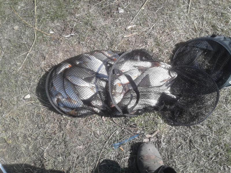 20190504_152745.jpg