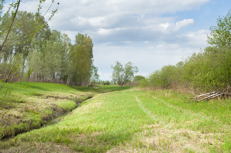 DSC_6870.jpg