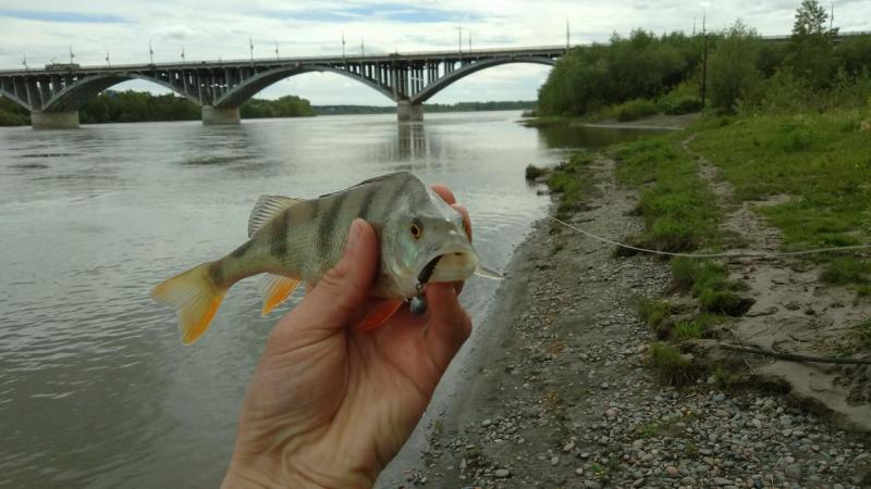 P_20190531_152738.jpg
