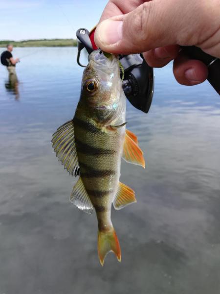 IMG_20190527_155048.jpg