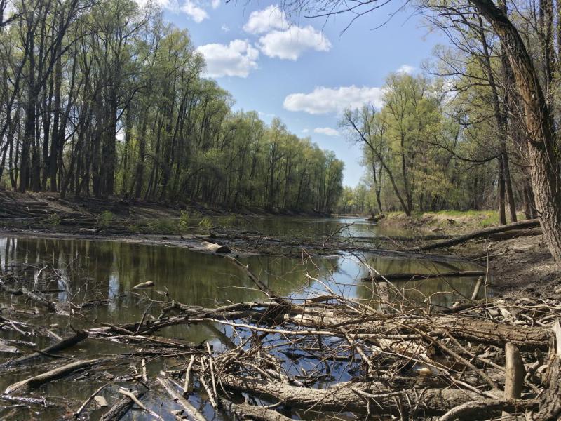 20190512_164001_Richtone(HDR).jpg