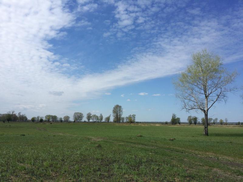 20190512_125714_Richtone(HDR).jpg