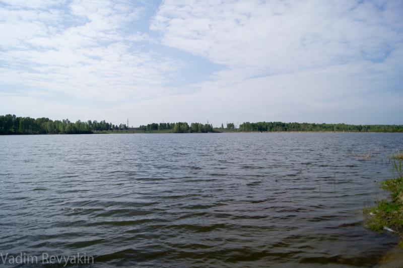 DSC02261.jpg