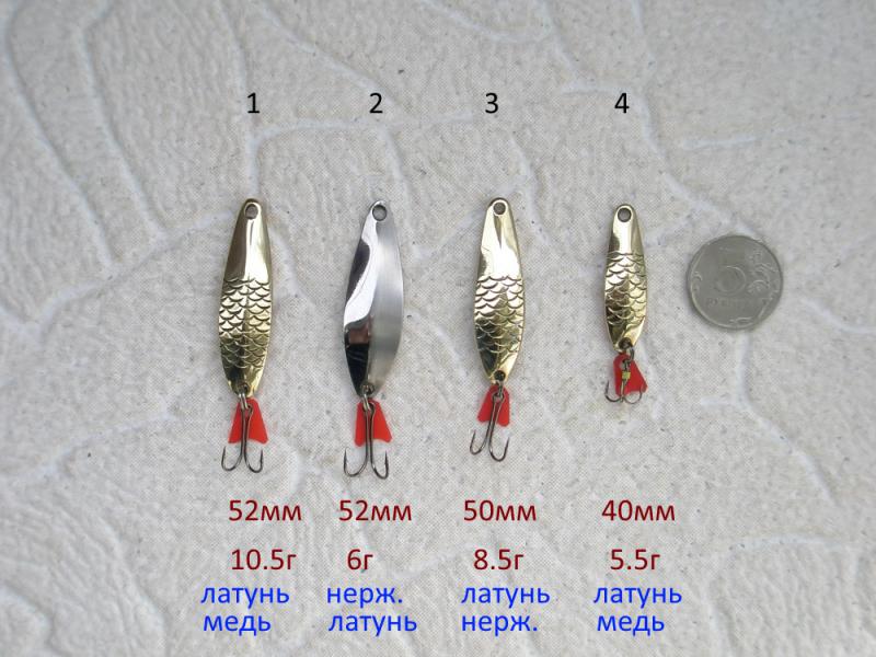 2 х кор..JPG