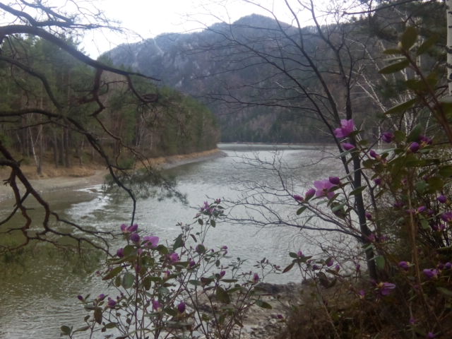 IMG_20190502_181845.jpg