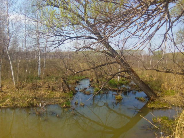IMG_20190509_121819.jpg