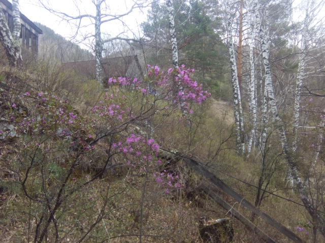 IMG_20190502_095905.jpg