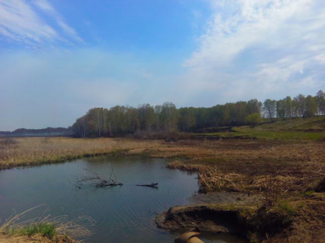 IMG_20190509_121805.jpg