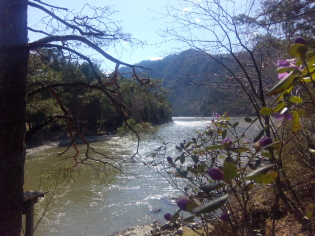 IMG_20190503_144042.jpg