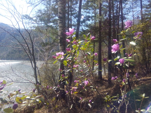 IMG_20190503_144031.jpg