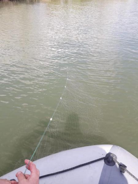 IMG-20190517-WA0024.jpg