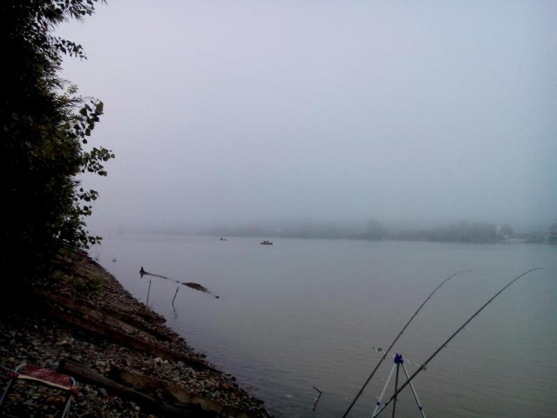 IMG_20160723_100202.JPG