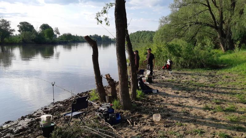 Прикрепленное изображение