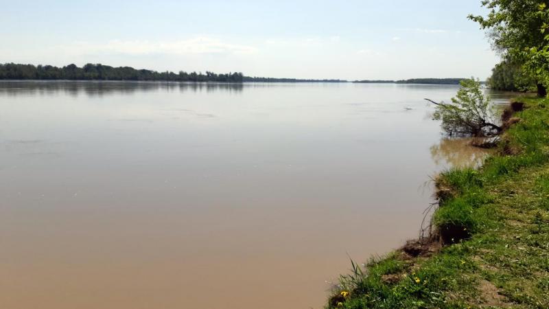 Прикрепленное изображение