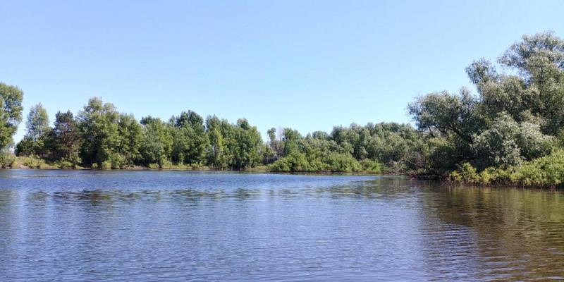 Прикрепленное изображение: 20200529_143557_HDR.jpg