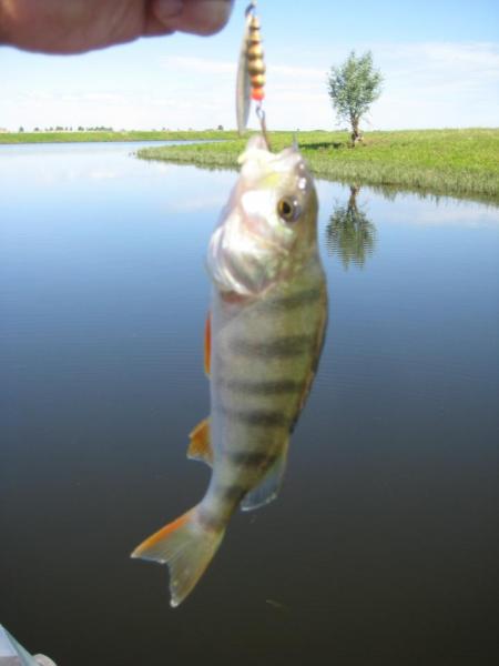 Прикрепленное изображение: IMG_8692.JPG