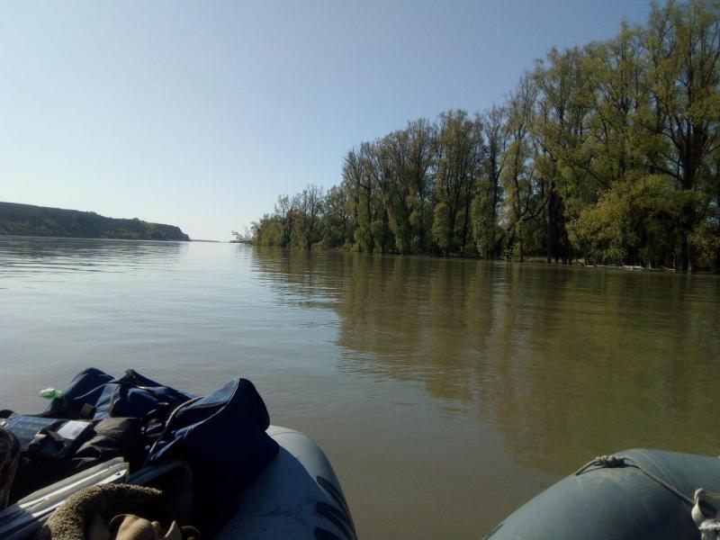 Прикрепленное изображение: IMG_20200508_170210.jpg