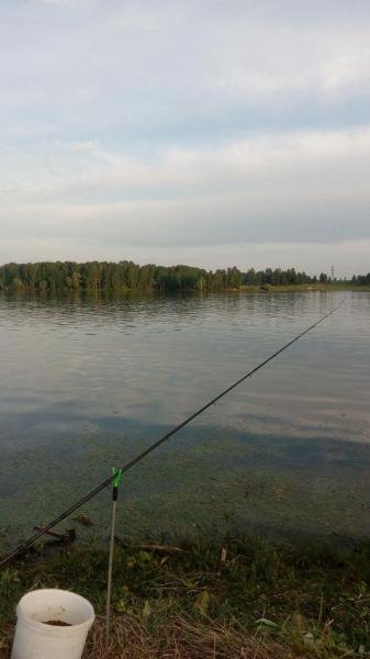 IMG-20200518-WA0056.jpeg