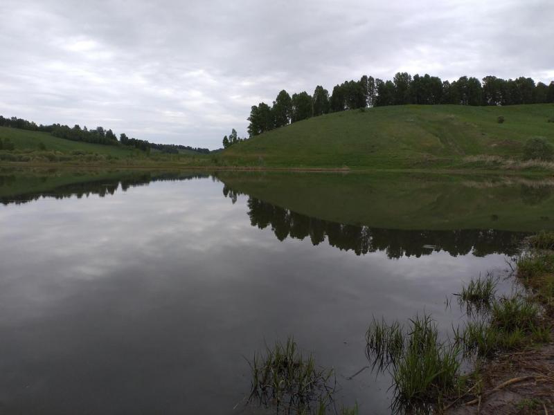 IMG_20200516_073618.jpg