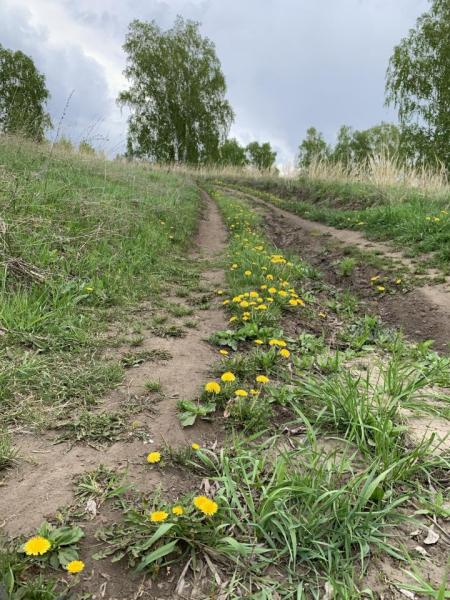 Прикрепленное изображение: IMG_0981.JPEG