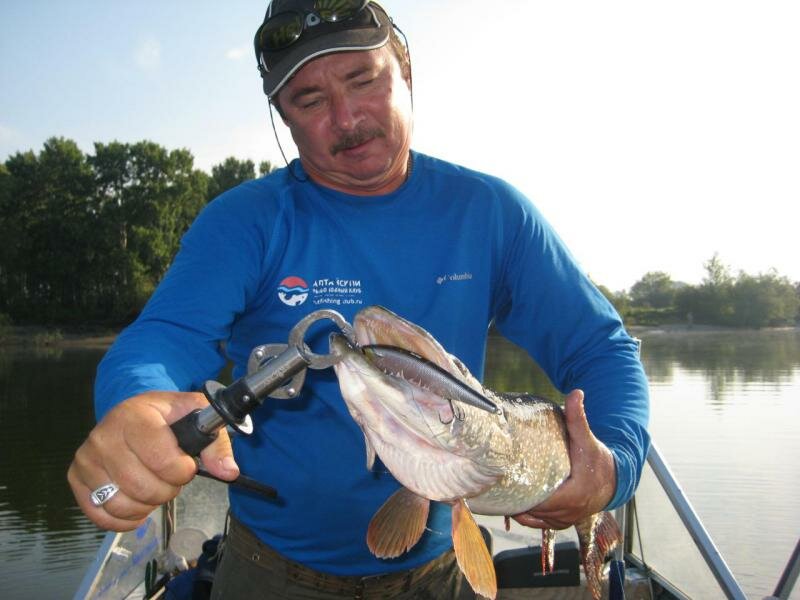 Прикрепленное изображение: scale_1200 (1).jpg