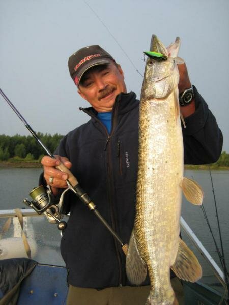 Прикрепленное изображение: scale_1200 (2).jpg