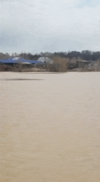 VID-20210502-WA0059 (1) (1).gif