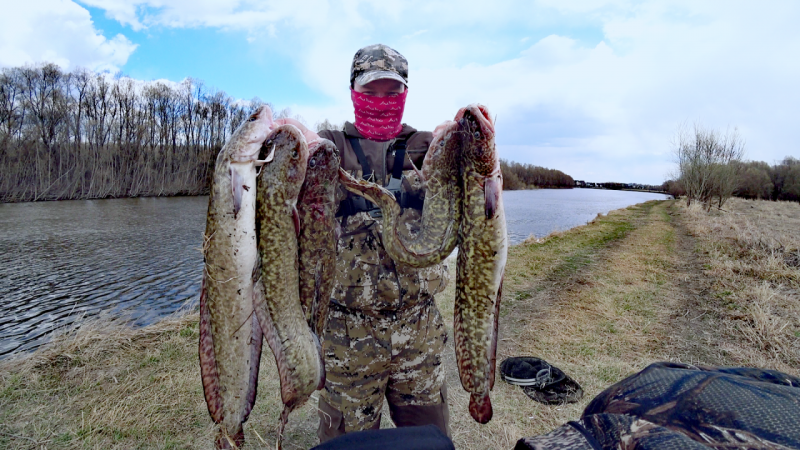 IMG_20210508_232959.png