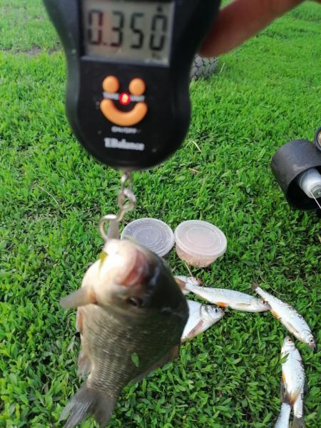 Прикрепленное изображение