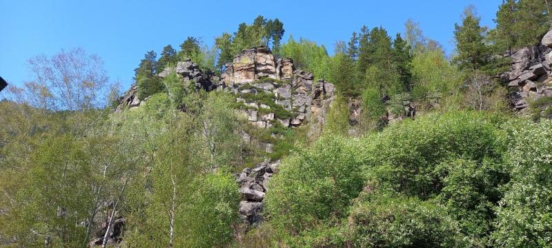 20220510_123139.jpg