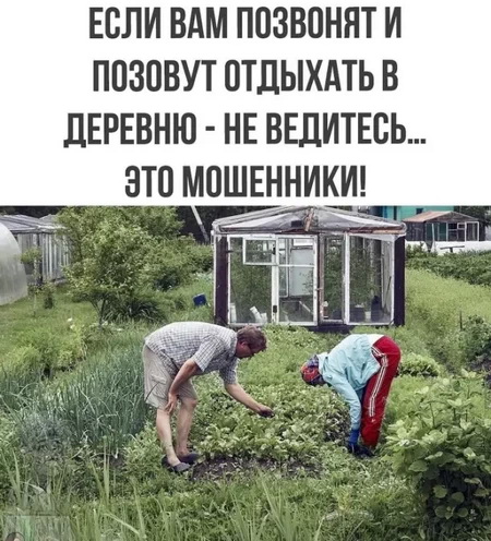 2223.jpg