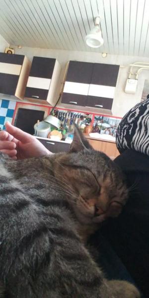 WhatsApp Image 2023-05-25 at 14.23.46.jpeg