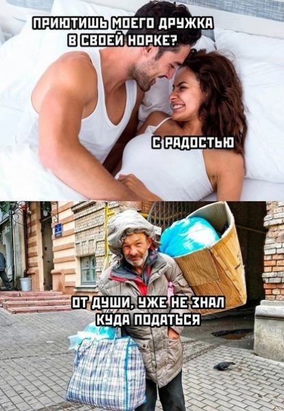 дружок.jpg