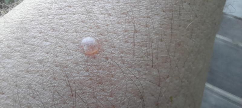 20250509_172644.jpg