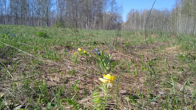 IMG-20250501-WA0004.jpeg