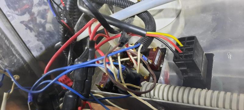 20250508_104256.jpg