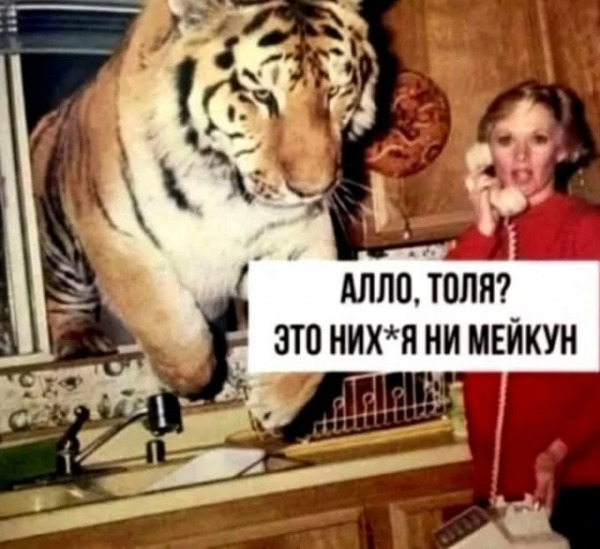 мейкун.jpg