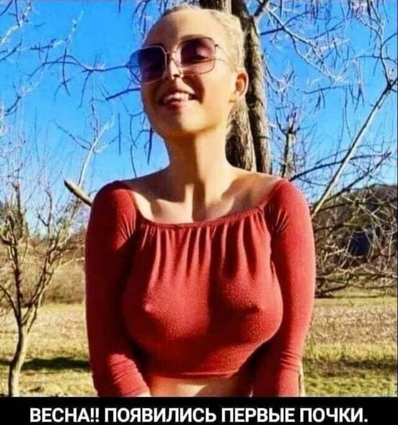 почки.jpg