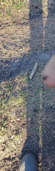 IMG_20250501_212142.jpg