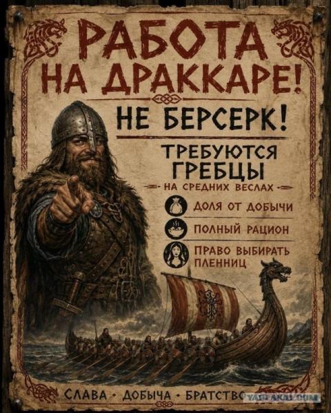 викинги.jpg
