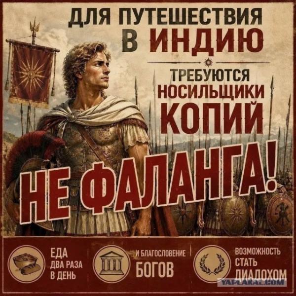фаланга.jpg