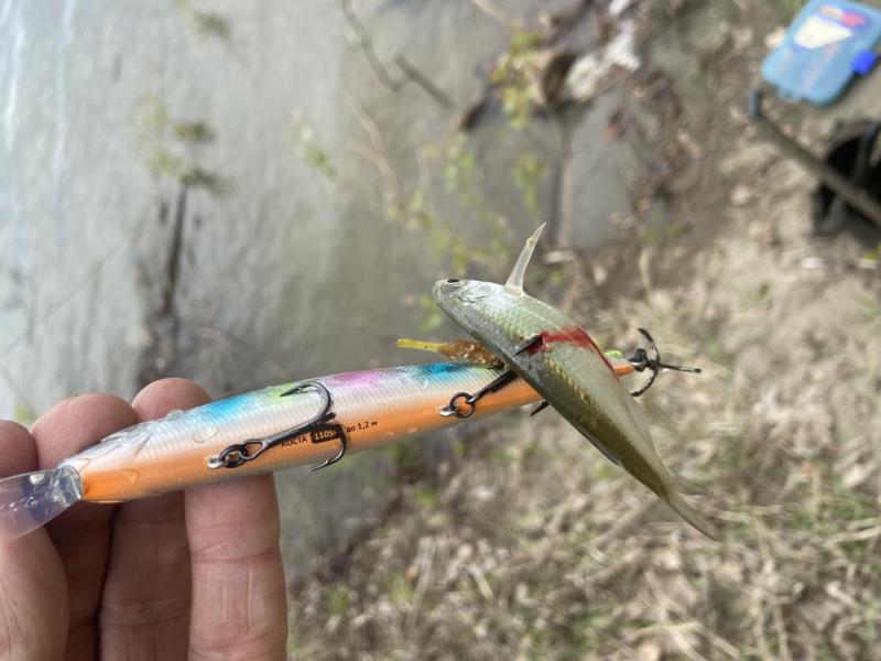IMG_4236.jpeg