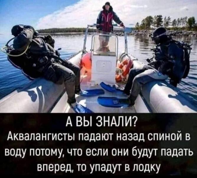 аквалангисты.jpg