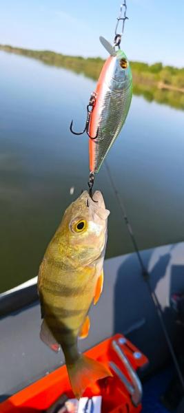 IMG_20260527_084744_065.jpg