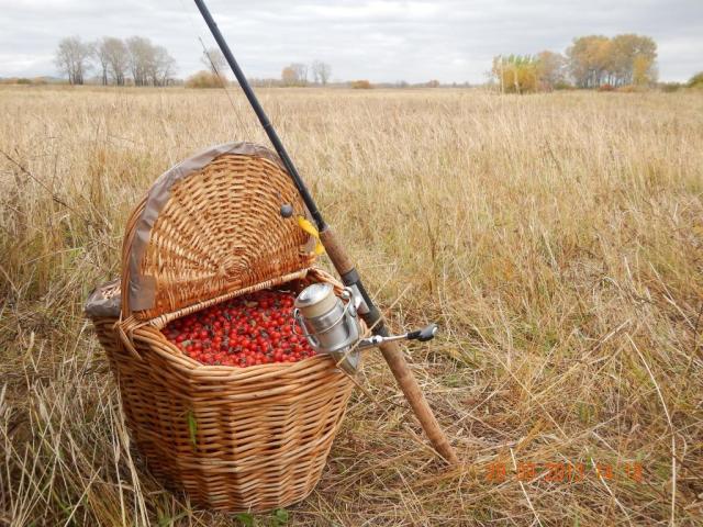 Прикрепленное изображение