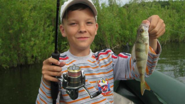 Прикрепленное изображение