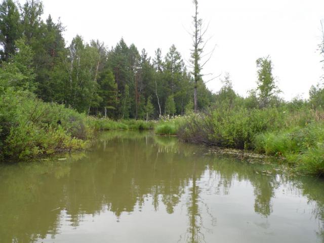 Прикрепленное изображение