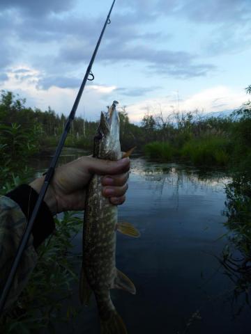 Прикрепленное изображение