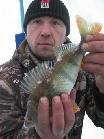 Прикрепленное изображение